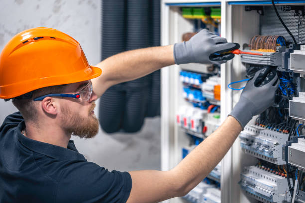 Best Electric Panel Repair  in Chaffee, MO