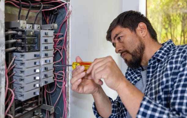 Best Electrician for Home Renovation  in Chaffee, MO
